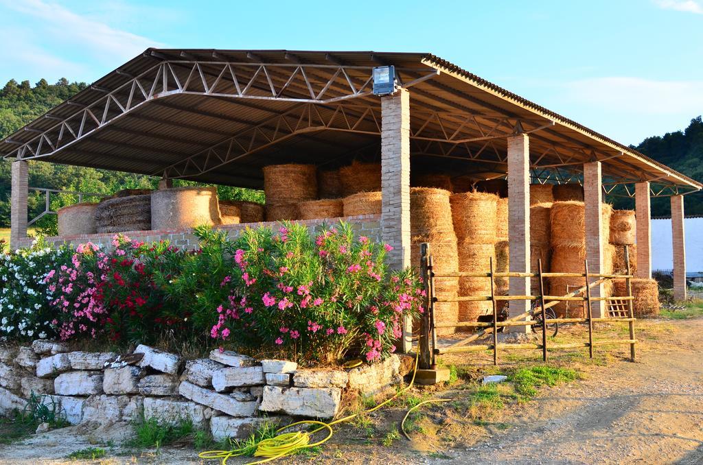 Agriturismo Terre Di Musignano Villa Canino Kamer foto