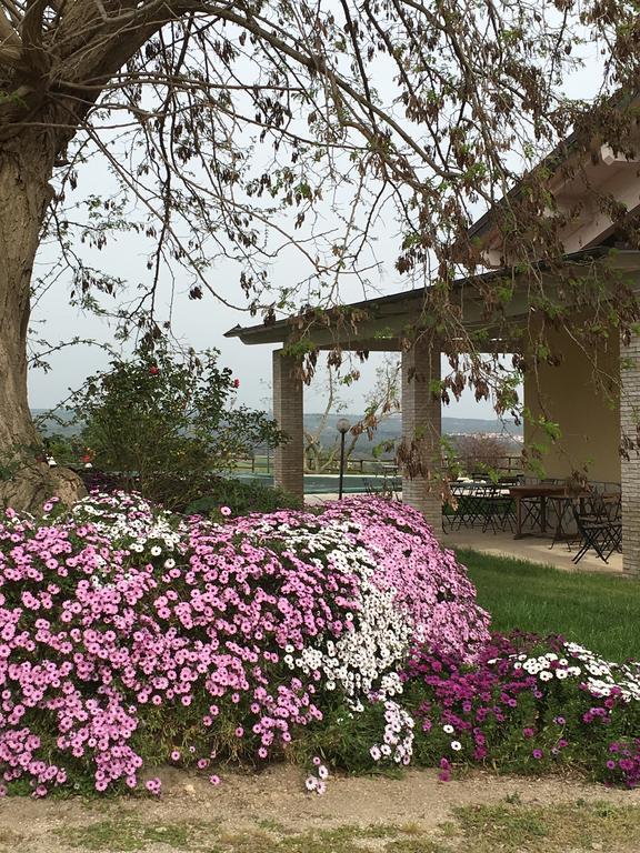 Agriturismo Terre Di Musignano Villa Canino Buitenkant foto