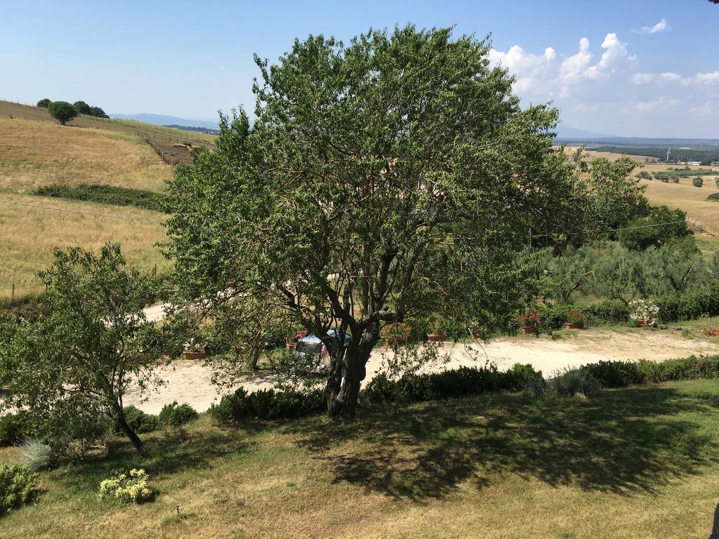 Agriturismo Terre Di Musignano Canino Buitenkant foto