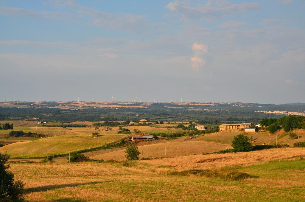 Agriturismo Terre Di Musignano Villa Canino Buitenkant foto